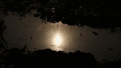 Reflection of the Sun in muddy water Stock Footage 155082386