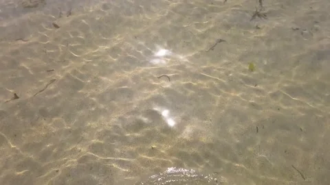 Reflection of the sun on a nice shallow water calm beach Stock Footage 237934651