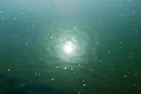 Reflection of the sun on the river, abstract sun background Stock Photos