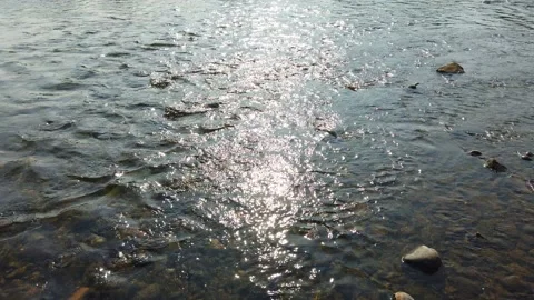 Reflection of the sun in the river in the morning in summer Video stock 156489360