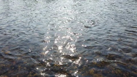 Reflection of the sun in the river in the morning in summer Video stock 156507778