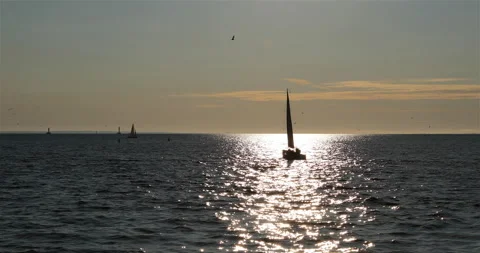 In the reflection of the sun on the river you can see a sailboat Stock Footage 101750222