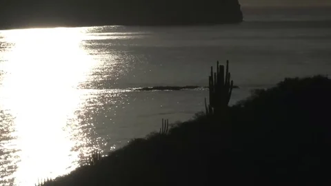 Reflection of the sun in the sea Stock Footage 82590084