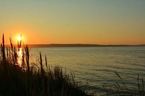 Reflection of the sun setting behind the hills through tall reeds on the sh.. Stock Photos