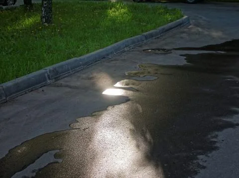 The reflection of sun Shine in a puddle Stock Photos