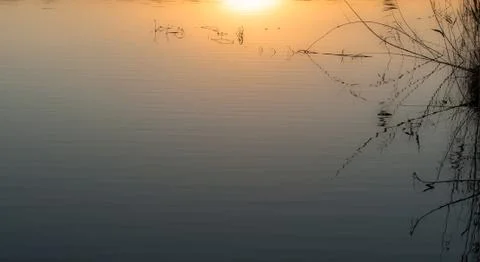 Reflection of the sun at sunset on the lake Foto stock