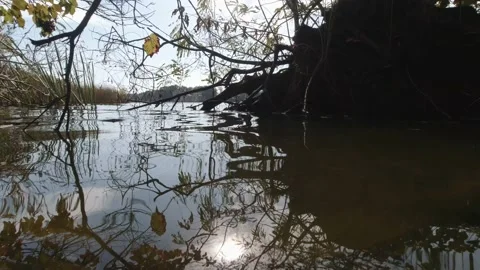 Reflection of the sun from the surface of the river, which sways from the wav Stock Footage 142282420