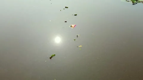 The reflection of the sun in the water, Aerial view of a stream full of red Stock Footage 297694894