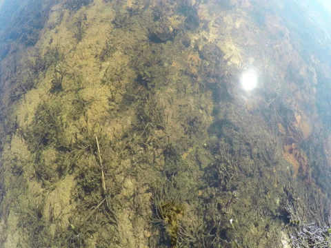 The Reflection Of The Sun In The Water Stock-Footage 74862926