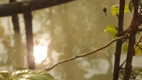 Reflection of sun on water Stock Footage 129432699