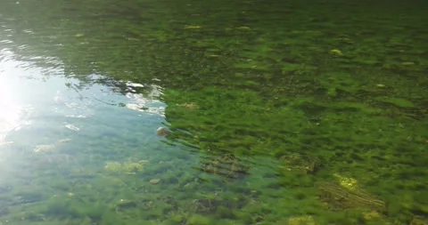 The reflection of the sun on the water of a green lake in the Austrian Alps Video stock 246328641