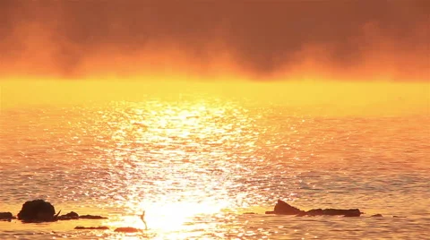 Reflection of sun in water of lake and two birds. Beauty of nature Stock Footage