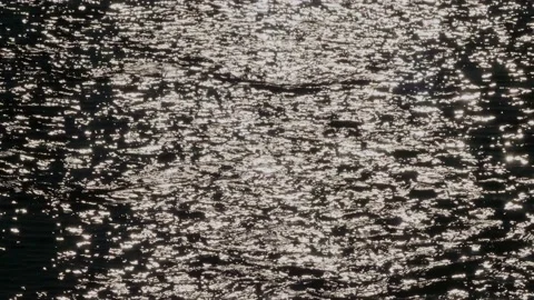 Reflection of the sun in the water of a river Stock Footage 171976855