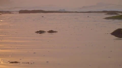 Reflection of sunlight over calm sea water surface Stock Footage 256271579