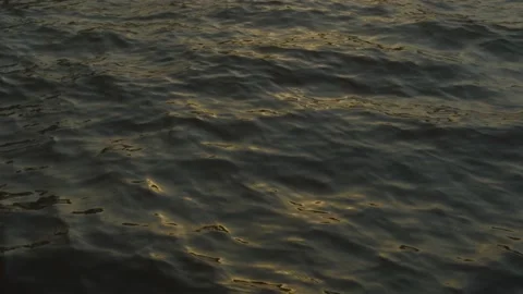 Reflection of sunlight over lake surface in slow motion Stock Footage 195989194