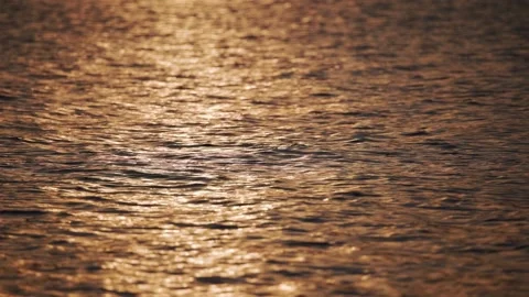 Reflection of sunlight over lake surface in slow motion Stock Footage 220651183