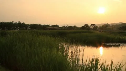 Reflection of sunlight on pond Video stock 11145020