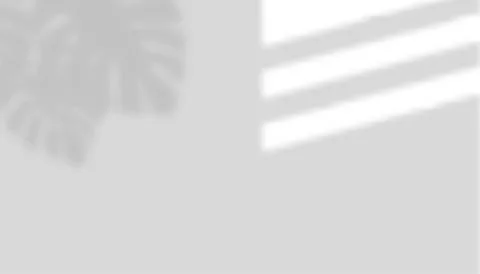 Reflection of sunlight shadows and monstera plant leaf shadows  on the gray wall Stock Illustration