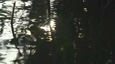 A reflection of sunlight on the surface of the water. Slow motion. Stock Footage 53361711