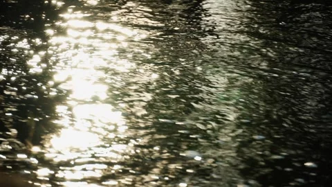 Reflection of sunlight on the water surface of a flowing river. Stock Footage 307669843