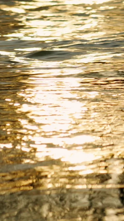 Reflection of sunlight on the water surface of a flowing river. Stock-Footage 331443212