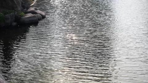 The reflection of sunlight on the water surface Stock Footage 266497437