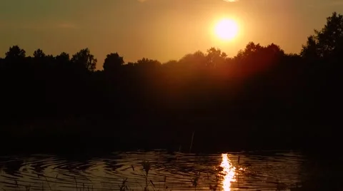 Reflection of sunlight in the waves of the river Stock Footage 51905745