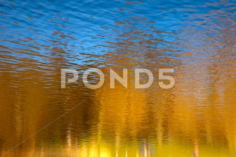 Reflection of sunny sky and trees Stock Photos