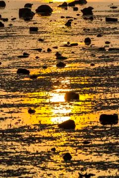 Reflection of sunrise Stock Photos