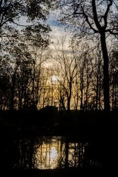 Reflection of the sunset in the dark Stock Photos