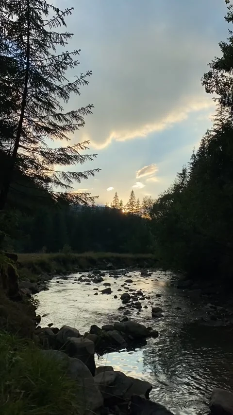 Reflection of sunset in mountain river creek Stock Footage 226970079