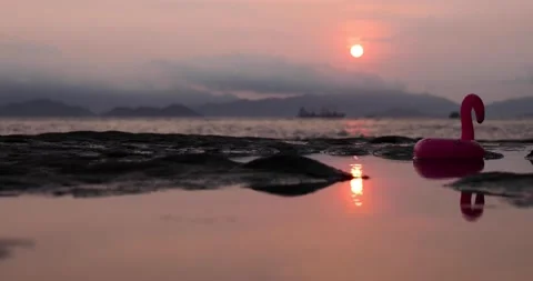 Reflection of sunset over water pond with a plastic duck on rock beach Stock Footage 158098017