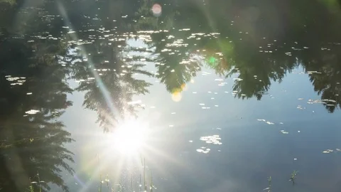 Reflection of sunset on pond Stock Footage 72970772