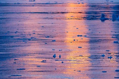 Reflection of a sunset sky in water with ripples in Antarctica. soft-focus sh Stock Photos