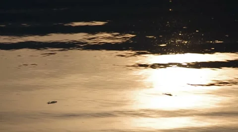Reflection of the sunset in the water Stock Footage 47792339