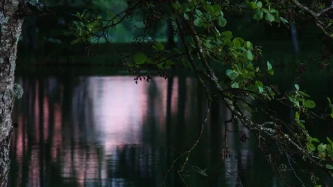 Reflection of the sunset on the water. Vídeo Stock 79872876