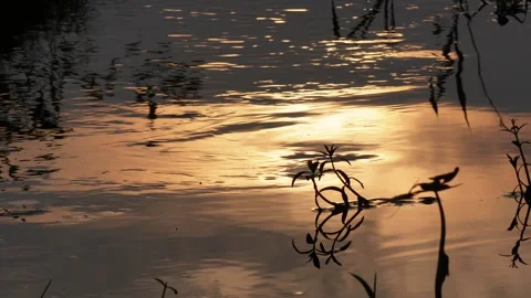 The reflection of the sunset on water Stock Footage 314579588