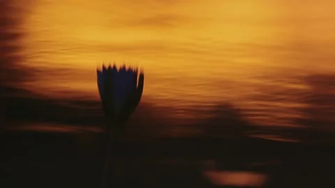 Reflection of sunset in water for natural background with glow and glitter Stock Footage 342072091