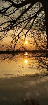 Reflection of sunset in water through tree branches 스톡 사진