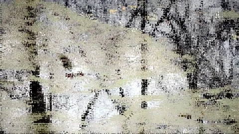 Reflection on the surface of a forest pond Stock-Footage 142726074