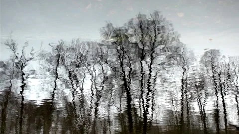 Reflection on the surface of a forest pond Stock-Footage 142726594