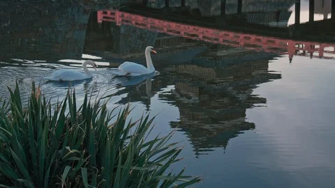 Reflection of the surface of Matsumoto Castle in Nagano, Japan Stockbeeldmateriaal 106351511