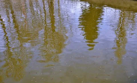Reflection on the surface of the Stock Photos