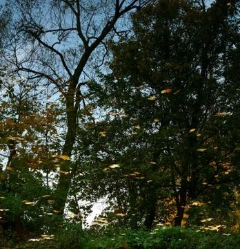 Reflection on the surface of the Foto stock