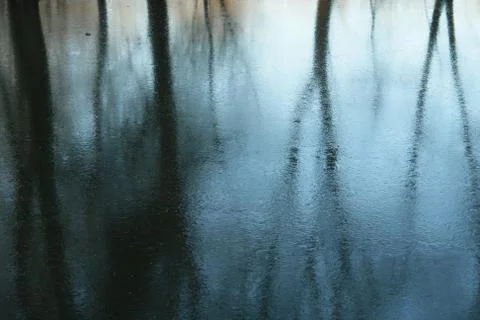 Reflection on the surface of the Stock Photos