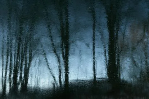 Reflection on the surface of the Stock Photos