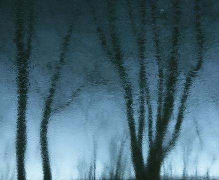 Reflection on the surface of the Stock Photos