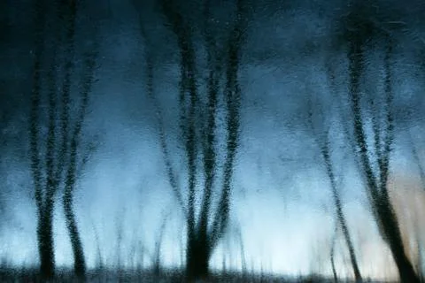 Reflection on the surface of the Stock Photos