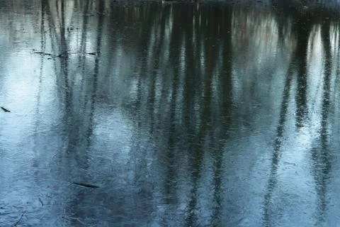 Reflection on the surface of the Stock Photos