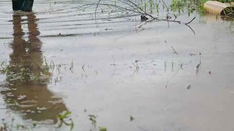 A reflection on the surface of the water of a boy walking through marsh Stock Footage 271524718